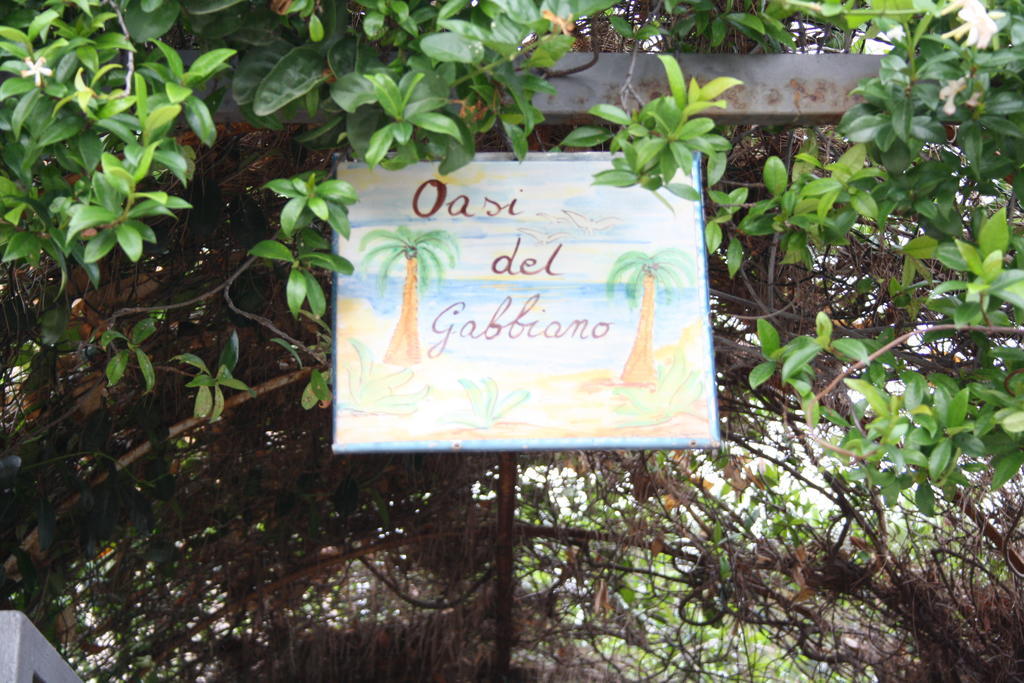 Oasi Del Gabbiano Acomodação com café da manhã Syracuse Exterior foto
